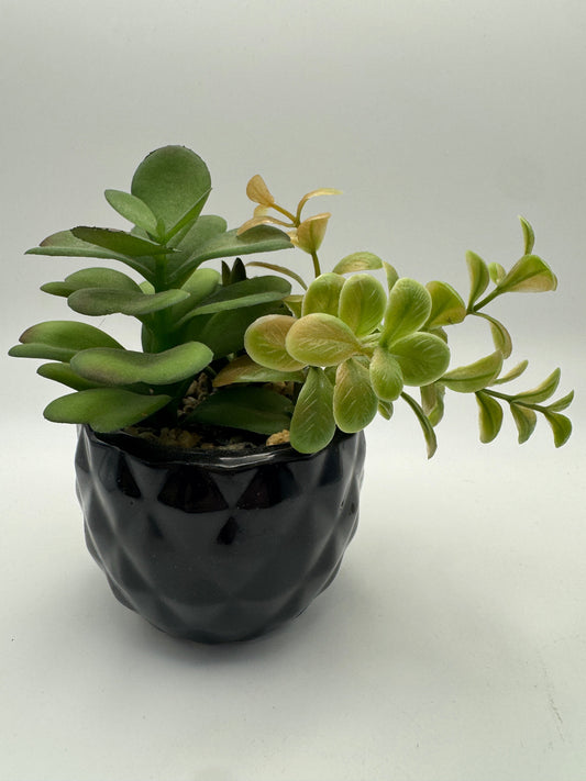 Faux Succulent Arrangement in Black Textured Vase